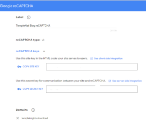 google reCAPTCHA Settings